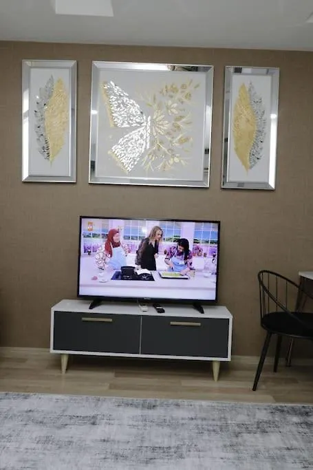 Fully Equipped Apartment Istanbul Turkey