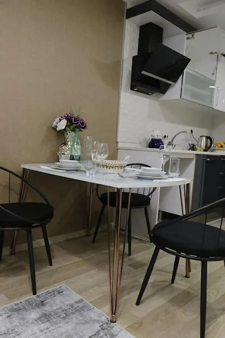 Fully Equipped Apartment Istanbul