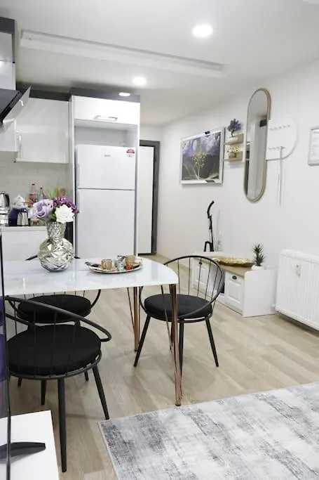 Fully Equipped Apartment Istanbul Turkey
