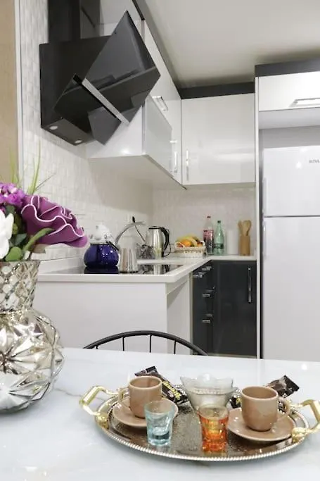 Fully Equipped Apartment Istanbul Turkey