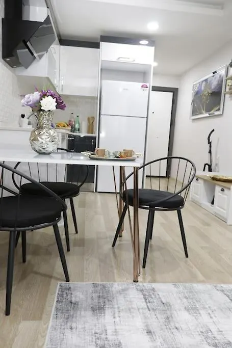 Fully Equipped Apartment Istanbul 0*,  Turkey